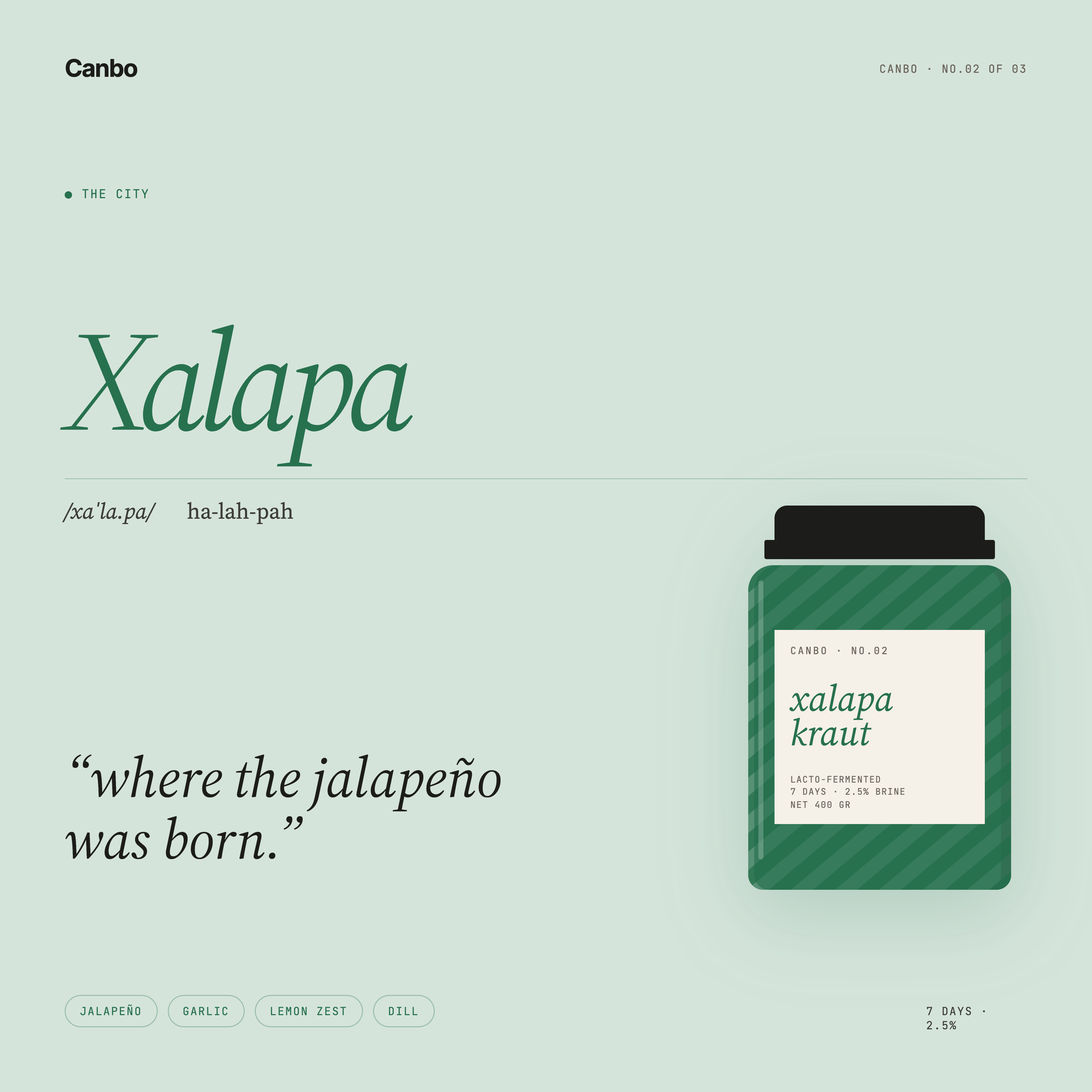 Xalapa Kraut