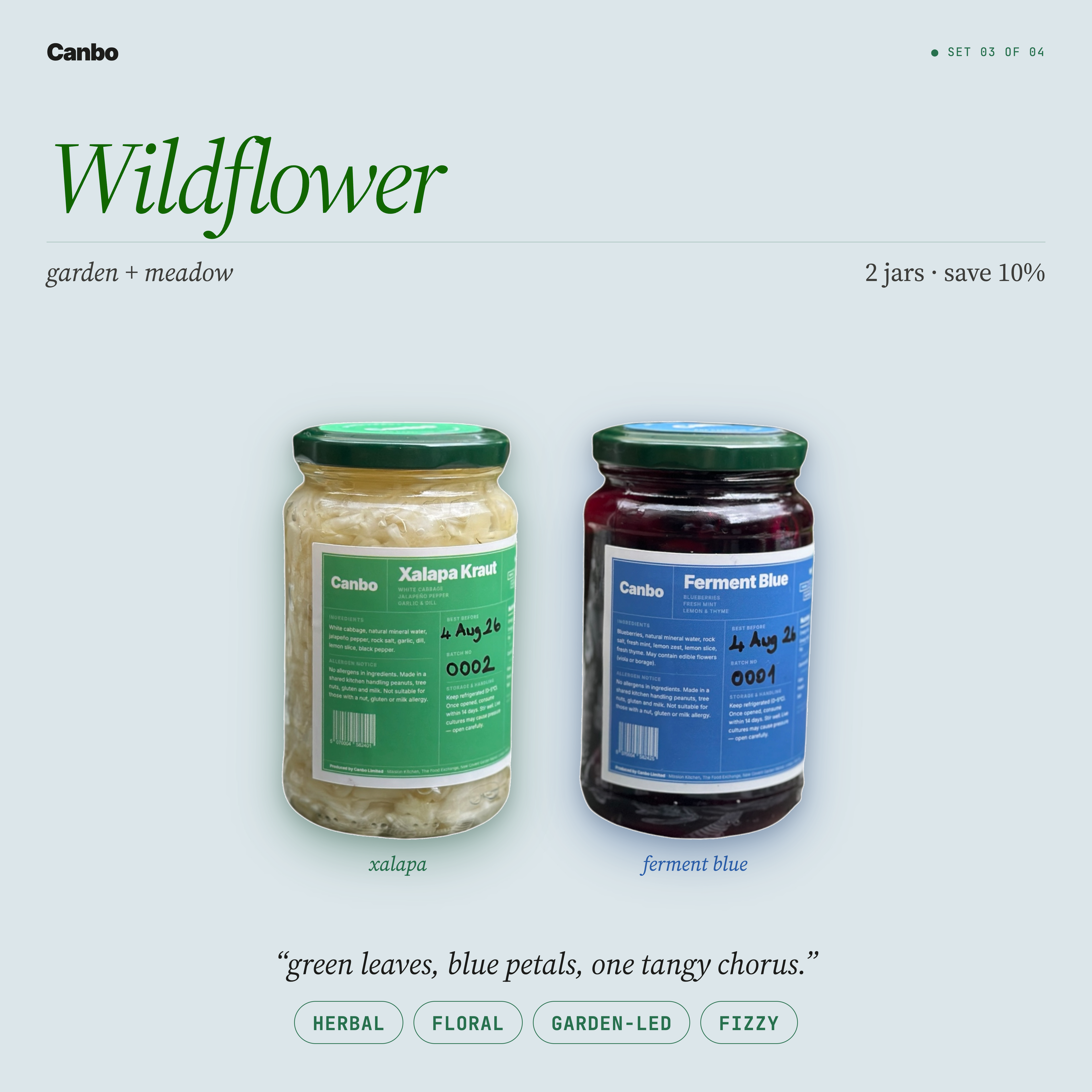 Wildflower bundle: Canbo Xalapa Kraut and Ferment Blue, jalapeño kraut with fermented blueberry